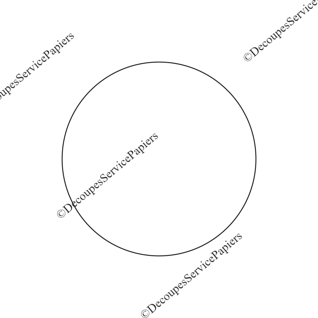 rond D 80.jpeg